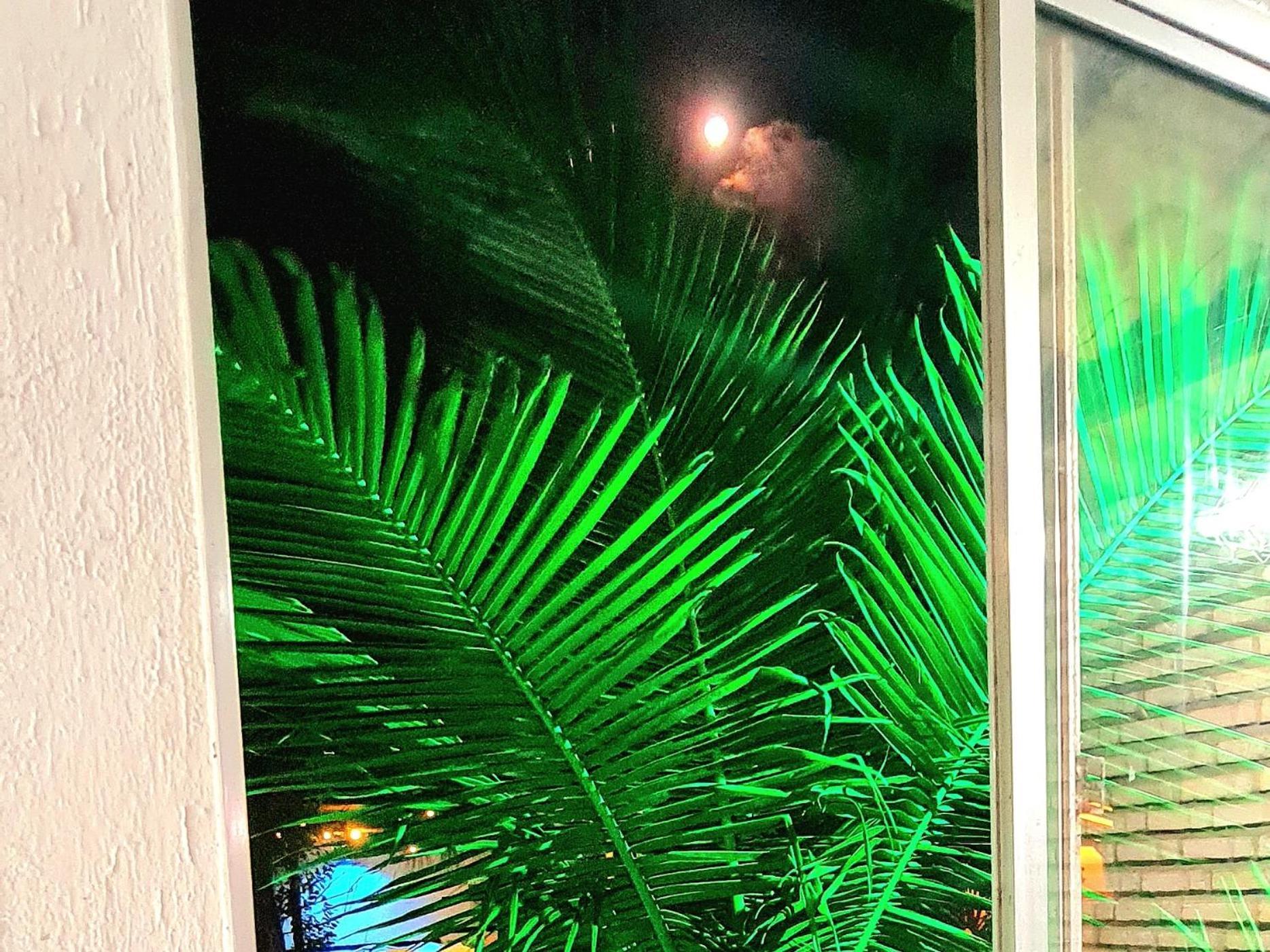 Praia de Pipa Di Pipa Rooms - Hidromassagem Externa מראה חיצוני תמונה